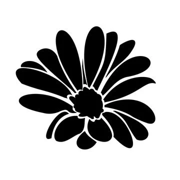 Daisy fsummer flower, floral elements hand drawn Stock Illustration