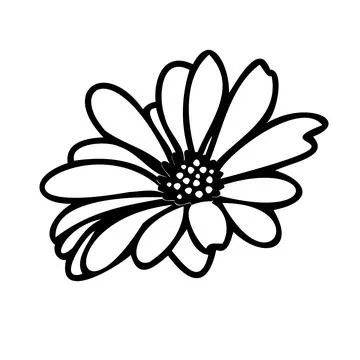 Daisy fsummer flower, floral elements hand drawn Stock Illustration
