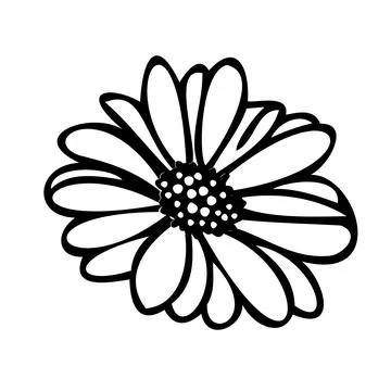 Daisy fsummer flower, floral elements hand drawn Stock Illustration