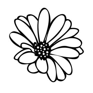 Daisy fsummer flower, floral elements hand drawn Stock Illustration