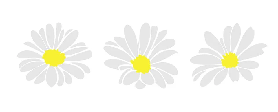 Daisy fsummer flower, floral elements hand drawn Stock Illustration