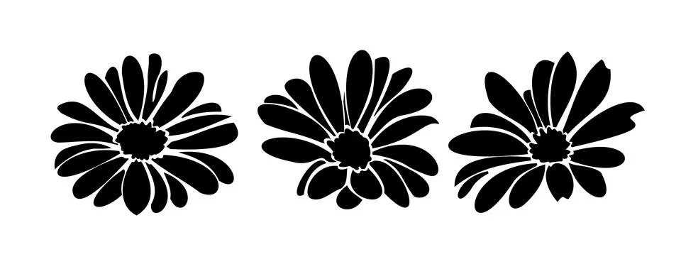 Daisy fsummer flower, floral elements hand drawn Stock Illustration