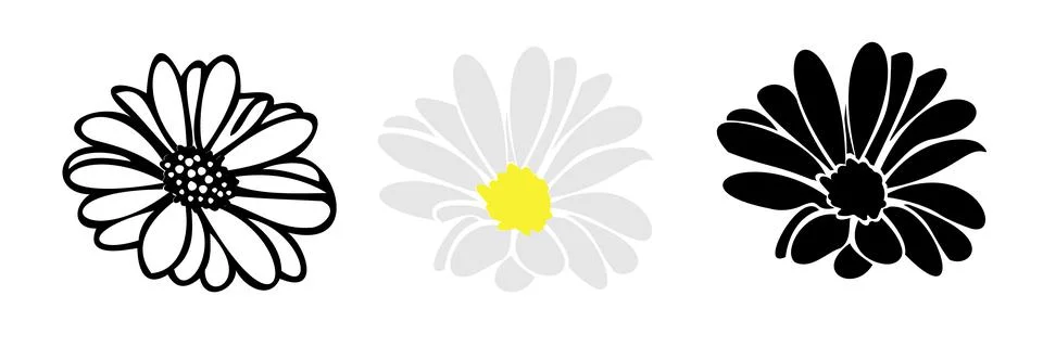 Daisy fsummer flower, floral elements hand drawn Stock Illustration