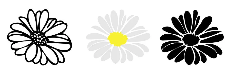 Daisy fsummer flower, floral elements hand drawn Stock Illustration