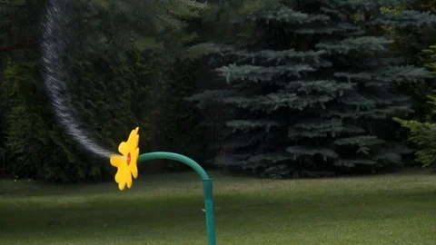 Daisy garden hose randomly spraying water in every direction slow motion Stock Footage 77159446
