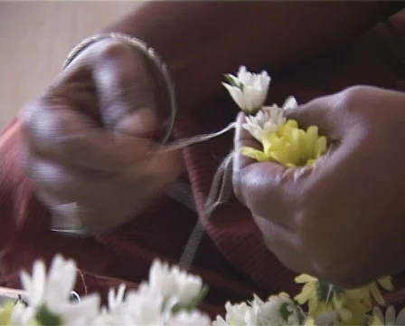 Daisy Garland Making Stock Footage 263617