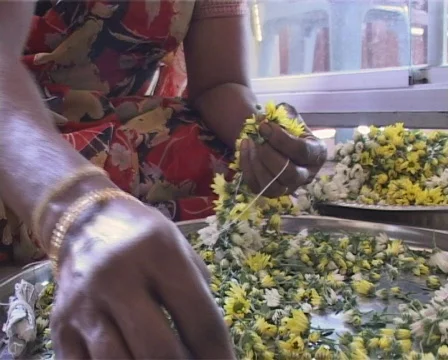 Daisy Garland Making Stock Footage 263619