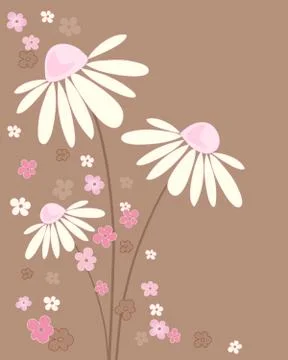 Daisy greeting card Stock Illustration