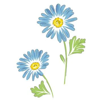 Daisy hand drawn vector illustration Stock-Illustration
