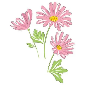 Daisy hand drawn vector illustration Illustrazione stock