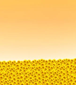 Daisy horizon Foto stock