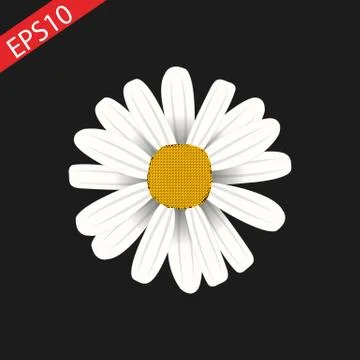 Daisy. icon on black background. vector design Stock Illustration