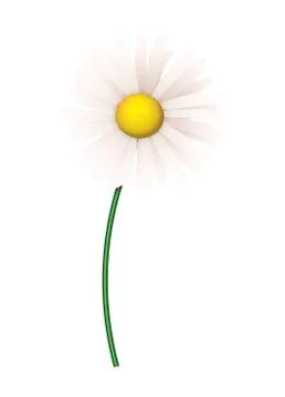 Daisy Stockillustratie