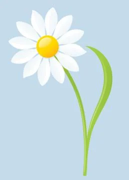Daisy Stock Illustration