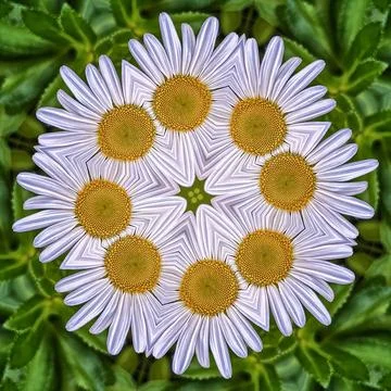 Daisy kaleidoscope wreath Stock Illustration