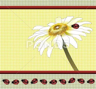 Daisy ladybugs Stock Illustration