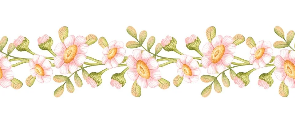 Daisy leaf border seamless pattern イラスト素材