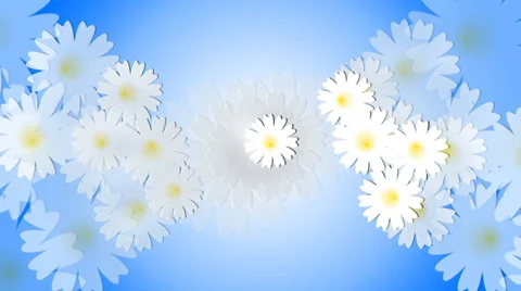 Daisy meadow on blue background. Animation. 스톡 동영상 38519731