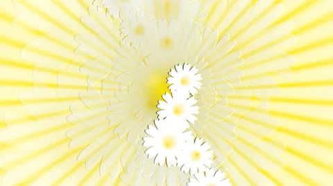 Daisy meadow on sunny background. Animation. 스톡 동영상 38530993