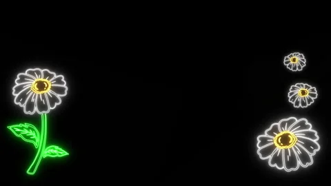 Daisy Neon Frame Vidéo 255289529