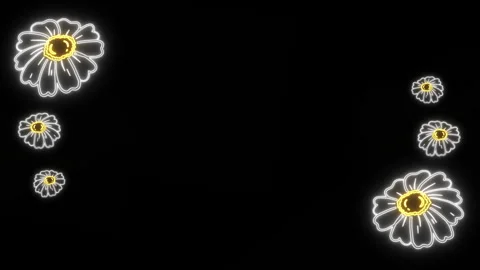 Daisy Neon Frame Stock Footage 255292510