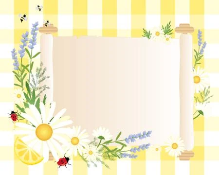 Daisy parchment Stock Illustration