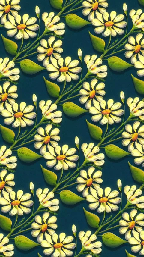 Daisy pattern on blue background Stock Footage 328996668