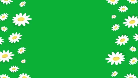 DAISY PATTERN FRAME 2 1 스톡 동영상 242246265