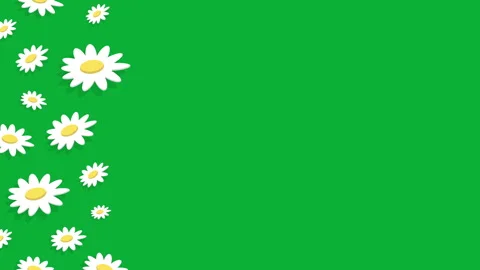 DAISY PATTERN FRAME 2 Stock Footage 242245852