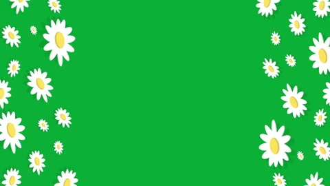 DAISY PATTERN FRAME VERTICAL 2 Stock Footage 242246299