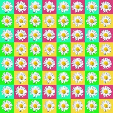 Daisy pattern Stock Illustration