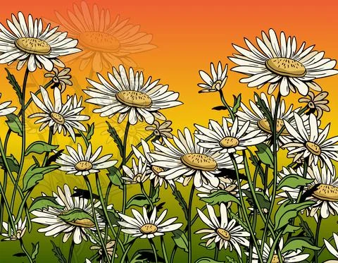 Daisy pattern template classical handdrawn design Stock Illustration