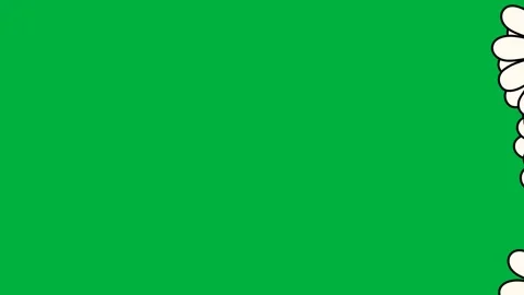 Daisy Petal Transition on a Green Screen Stock Footage 320586493