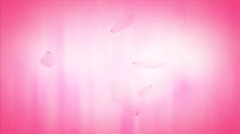 Daisy Petals Loop 1080  background Stock Footage 50706864