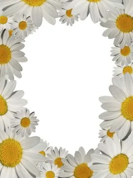 Daisy picture frame with copyspace Stock Illustration