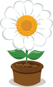 Daisy in a pot Stock Illustration