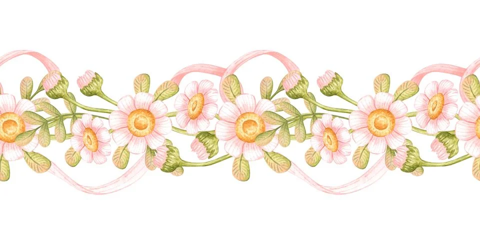 Daisy ribbon border seamless pattern Stock Illustration