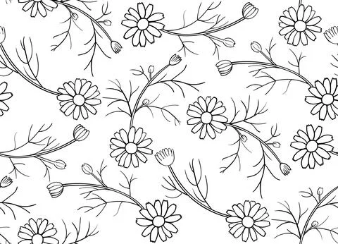 Daisy Seamless Pattern. Black contour on white background. Simple vector Stock Illustration