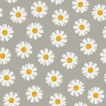 Daisy seamless pattern Stock Illustration
