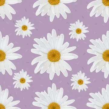 Daisy seamless pattern on purple background. 스톡 일러스트