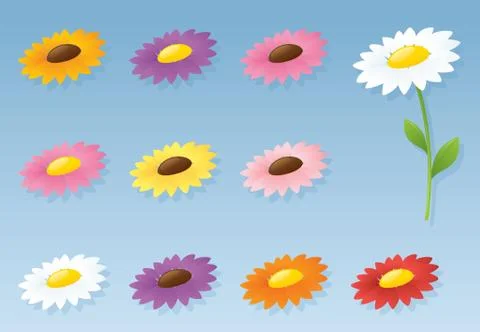 Daisy shades Stock Illustration