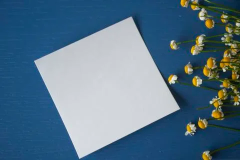 Daisy with a sticker note on a painted blue wooden background Stock Photos