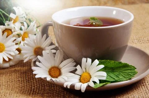 Daisy tea Stock Photos