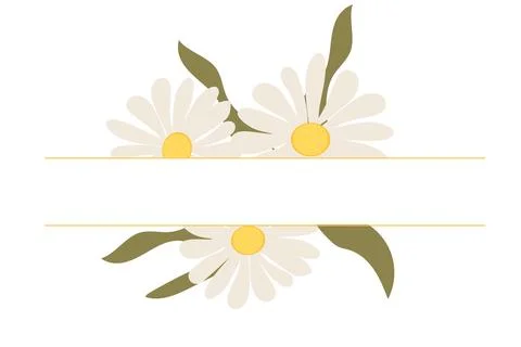 Daisy thin line frame monogram, border with flowers and leaves isolated. Simple Stock Illustration