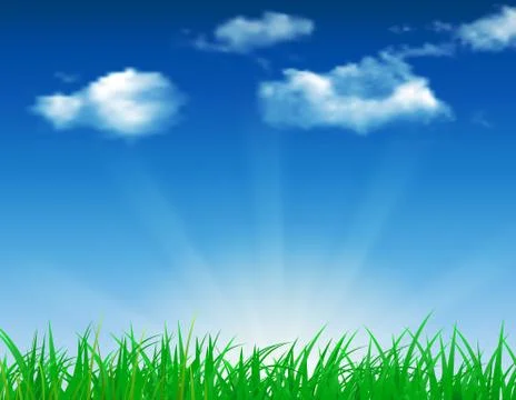 Daisy vector background summer design Illustrazione stock