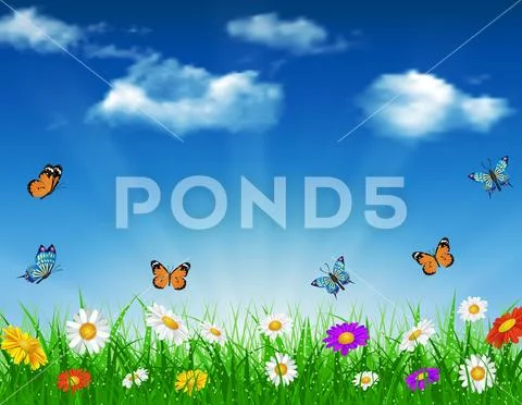 Daisy vector background summer design Иллюстрация