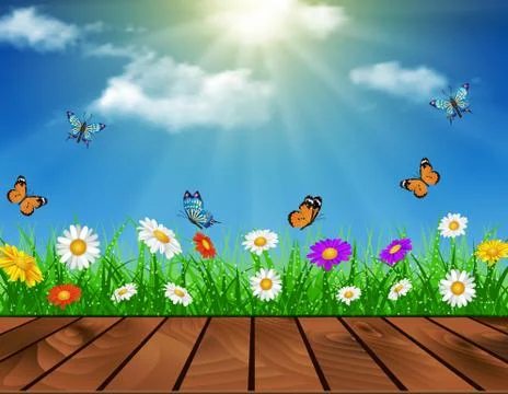 Daisy vector background summer design Stock Illustration