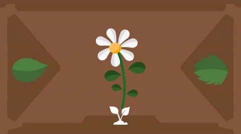 Daisy  - Vector Graphics - Food Animation - brown Stock Footage 61297467