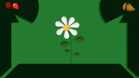 Daisy  - Vector Graphics - Food Animation - leaves Stock Footage 61297478