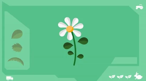 Daisy  - Vector Graphics - Food Animation - healthy Stock Footage 61297481